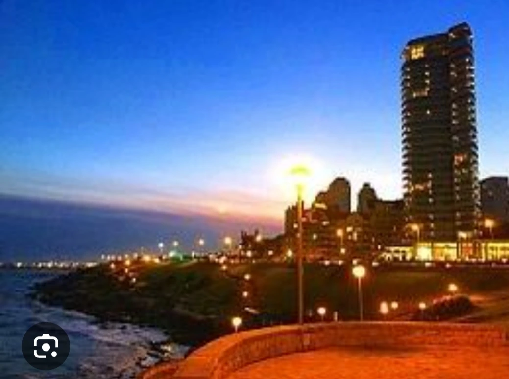 Actividades en la zona